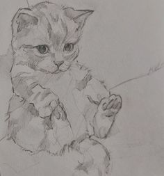 a pencil drawing of a cat sitting on the ground