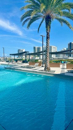 an empty swimming pool with lounge chairs and a palm tree in the foreground on a sunny day