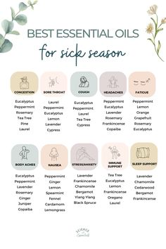 Best essential oils for sick season, aromatherapy, science of essentials, congestion, sore throat Sick Essential Oils Diffuser, Diffuser Blend Sore Throat, Essential Oil Blend For Sickness, Essential Oils For Viruses Diffuser, Essential Oil Sickness Diffuser, Cough Suppressant Essential Oils, Aromatherapy For Colds, Essential Oils For Colds Diffuser, Essential Oil Diffuser Blends For Nausea