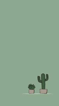 two potted cactus plants on a green background with the same color as the wallpaper