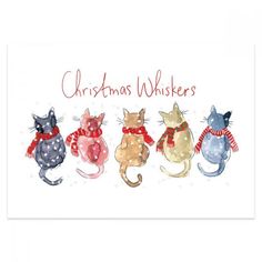 three cats wearing scarves and scarfs are sitting in front of the words christmas wishes