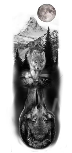 two wolfs are reflected in the water and one is looking up at the moon