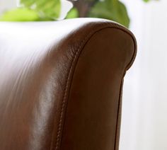 a brown leather chair with a plant in the background