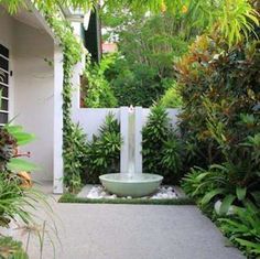 an outdoor garden with lots of greenery and plants in it's back yard