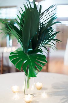 a vase filled with lots of green leaves on top of a white table cloth covered table