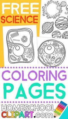 free science coloring pages for homeschool students to color and learn with their own hands