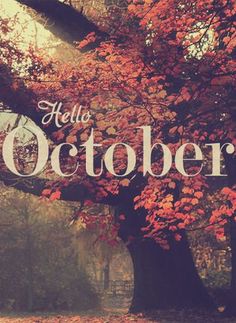 the words hello october are in front of an autumn tree