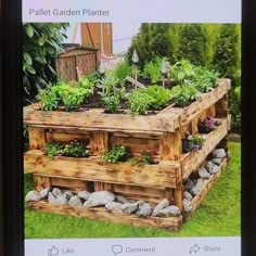 a wooden planter filled with lots of plants