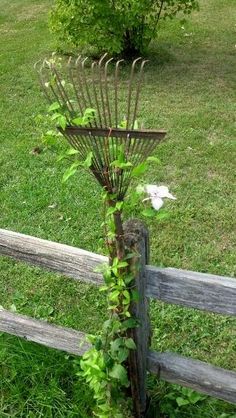 a tree that is growing out of the ground in front of a fence with vines on it