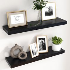 two black floating shelves with pictures and frames on them next to a potted plant