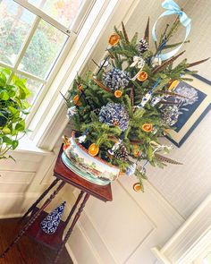 a potted plant sitting on top of a wooden table next to a window in a room