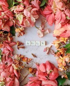 the word love spelled with scrabbles surrounded by pink flowers and green leaves