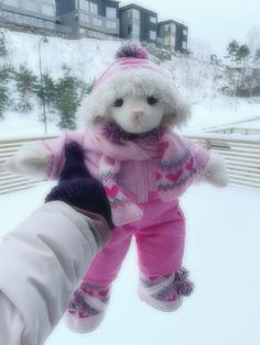 a stuffed animal is being held by someone's hand outside in the snow on a snowy day