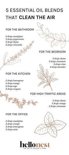 Medicine Garden, Essential Oil Perfumes Recipes, Essential Oil Combinations, Essential Oil Diffuser Blends Recipes, Young Living Essential Oils Recipes, Essential Oils Guide, Essential Oil Spray, Essential Oils Herbs, Essential Oil Diffuser Recipes