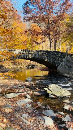 a stone bridge over a small stream in the woods with autumn leaves on the ground