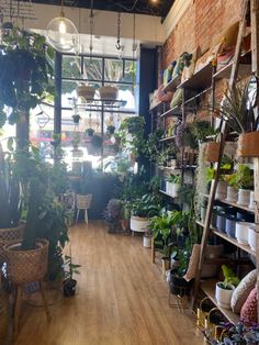 a room filled with lots of potted plants