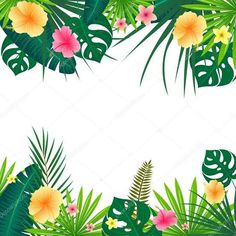 tropical leaves and flowers on a white background with space for text stock photo, images and illustrations