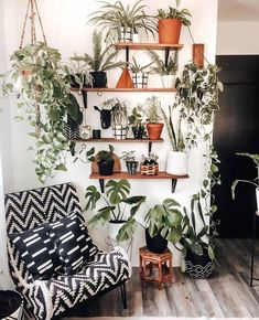 a living room filled with lots of potted plants next to a wall mounted shelf