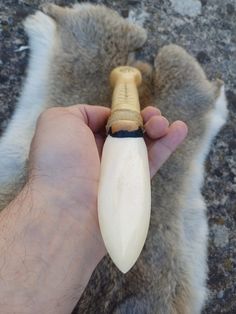 a person is holding an animal bone in their hand