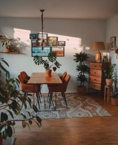 a dining room table with chairs and plants on the wall above it, in front of a potted houseplant