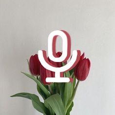 a vase filled with red tulips sitting on top of a white table next to a wall