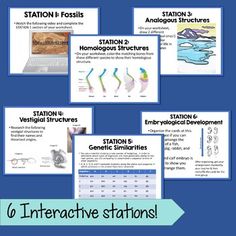 an interactive science station for students to learn how to use the stations in their classroom