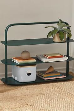 a green shelf with books and a potted plant