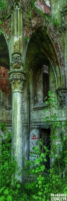 an old building with vines growing out of it