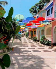 many colorful umbrellas are lined up on the street