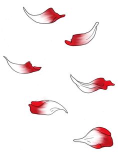 four red and white feathers flying in the air with long tails on each side of them