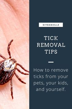 tick removal tips how to remove ticks from your pets, your kids, and yourself