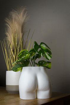 two white vases with plants in them sitting on a wooden table next to each other