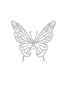 the outline of a butterfly on a white background