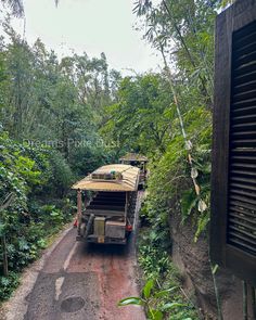 a truck driving down a dirt road in the jungle