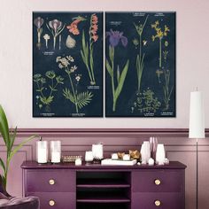 two framed pictures on the wall above a purple dresser with flowers and plants in it