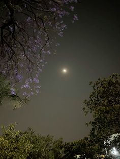 the moon is visible in the night sky above some trees and bushes with purple flowers