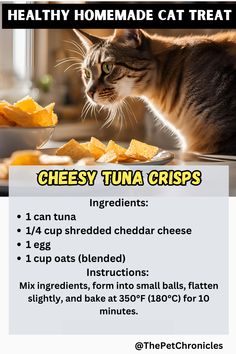 a poster with instructions for how to make homemade cat treats that are cheesy tuna crispes