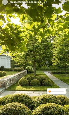 an image of a beautiful garden with trees and bushes