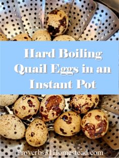 a colander filled with quail eggs and text overlay reads hard boiling quail eggs in an instant pot