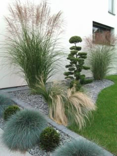 some very pretty plants by the side of a white building with green grass and rocks