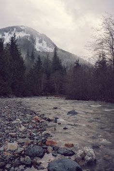 black and white photograph of a mountain river with rocks in the foreground, surrounded by evergreen trees