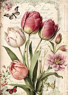 a painting of pink and white flowers with butterflies on the backgrounge background