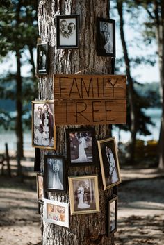 a family tree with pictures on it and framed photos attached to the tree's trunk