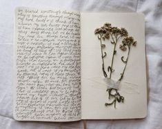 an open book with writing and dried flowers