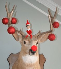 an elf on top of a deer head with red balls around it's antlers