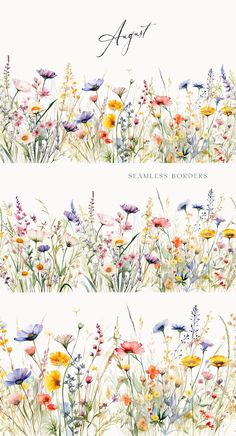 two watercolor paintings of wildflowers and grasses with the words august above them