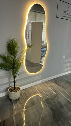 a potted plant sitting in front of a mirror on the side of a wall