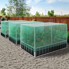 three glass containers filled with plants in the sand