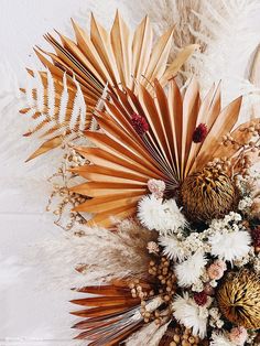 an arrangement of dried flowers and leaves on a white background with feathers in the foreground