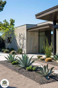 an exterior view of a modern home with cactus and succulents in the front yard